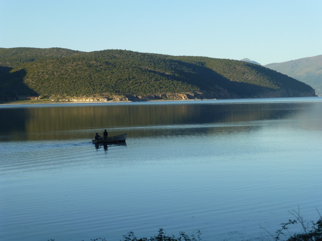 Blick auf den Prespa See - Schutzgebietsguides für Albanien/Naturerlebnis Albanien