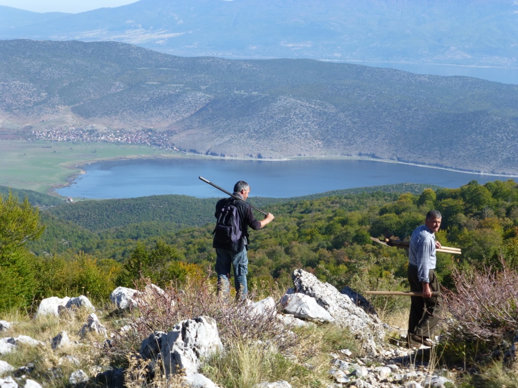 Blick auf den Prespa See - Schutzgebietsguides für Albanien/Naturerlebnis Albanien